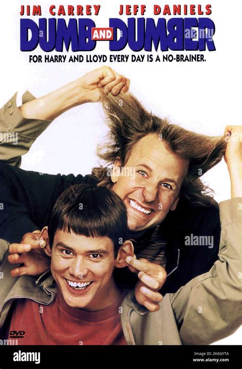 dumb and dumber to gomovie|Dumb and Dumber To (Movie, 2014) .